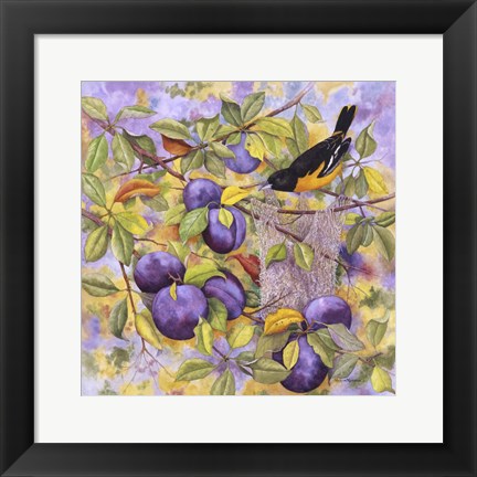 Framed Oriole &amp; Plums Print