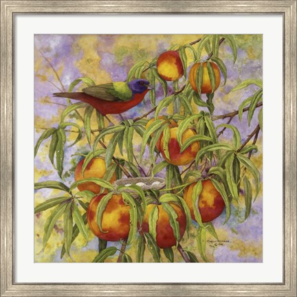 Framed Painted Bunting &amp; Peaches Print