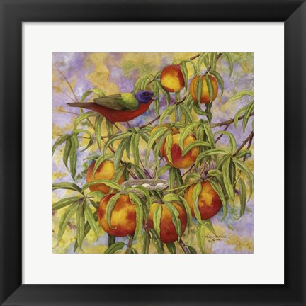 Framed Painted Bunting &amp; Peaches Print