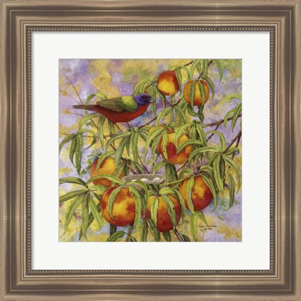 Framed Painted Bunting &amp; Peaches Print