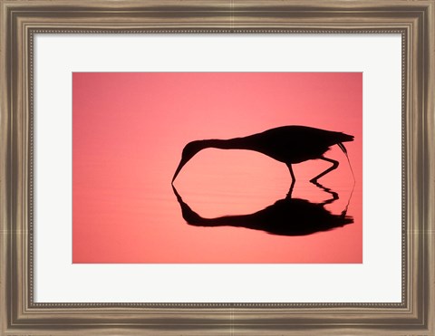 Framed Mirror Silhouette of Little Blue Heron Print