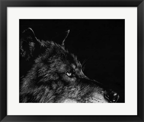 Framed Scratchboard Wolf I Print