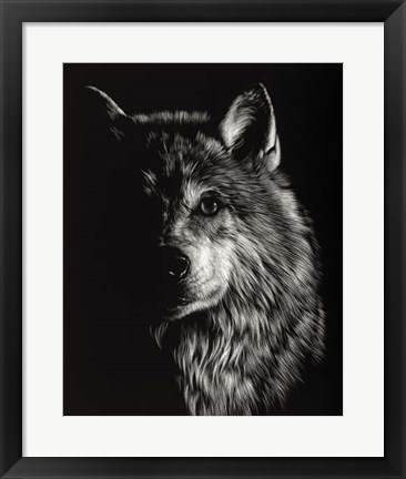 Framed Scratchboard Wolf III Print