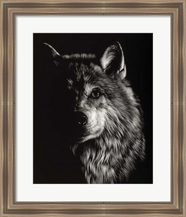 Framed Scratchboard Wolf III Print