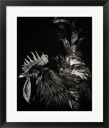 Framed Scratchboard Tyrant Print