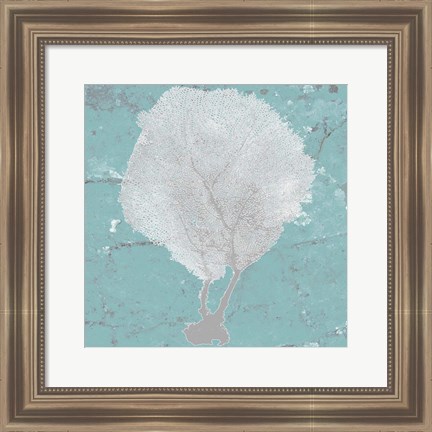 Framed Graphic Sea Fan II Print