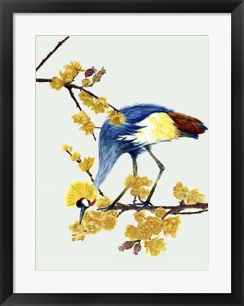 Framed Chimonanthus Praecox I Print