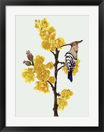 Framed Chimonanthus Praecox II Print