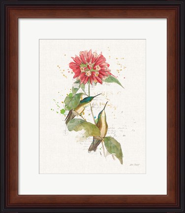 Framed Colorful Hummingbirds I Print