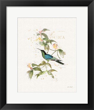 Framed Colorful Hummingbirds IV Print