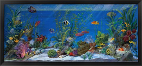 Framed Acquario Print