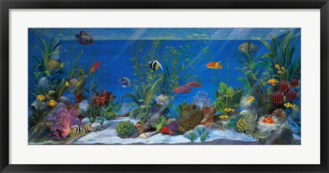 Framed Acquario Print