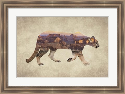 Framed Arizona Mountain Lion Print