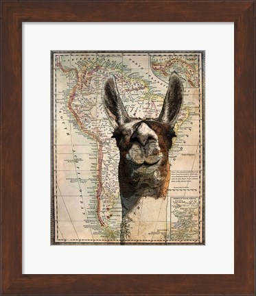 Framed South America Llama Map Print