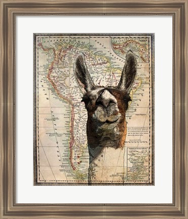 Framed South America Llama Map Print