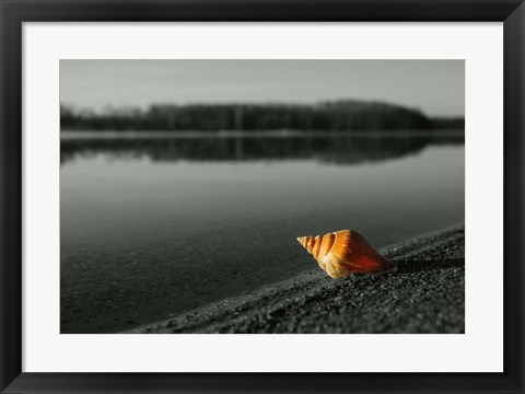 Framed Pop of Color Orange Shell Print