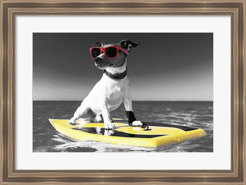 Framed Pop of Color Surf&#39;s Up Dog Print