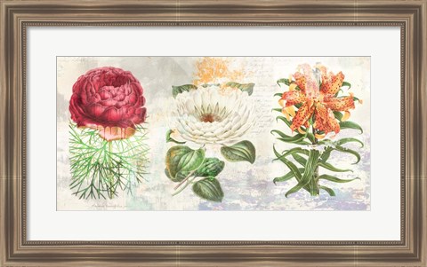 Framed Hortus Botanicus 2.0 Print