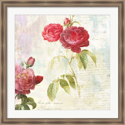 Framed Redoute&#39;s Roses 2.0 II Print