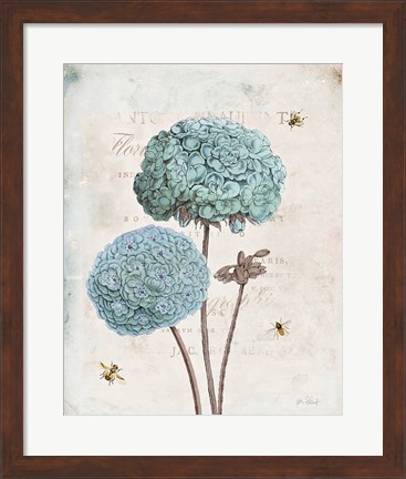 Framed Geranium Study II Print