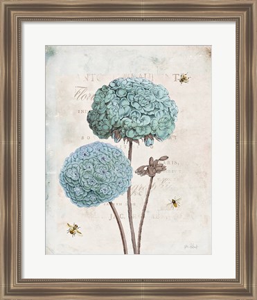 Framed Geranium Study II Print