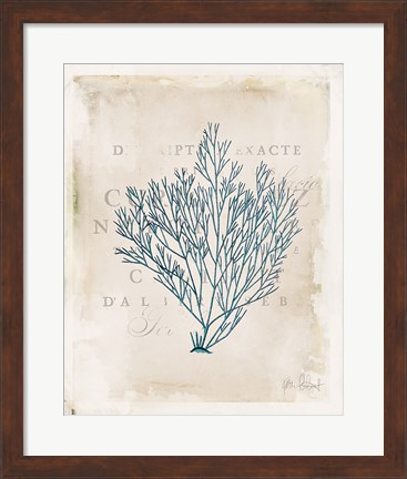 Framed Sea Garden II Print