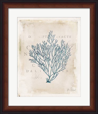 Framed Sea Garden II Print