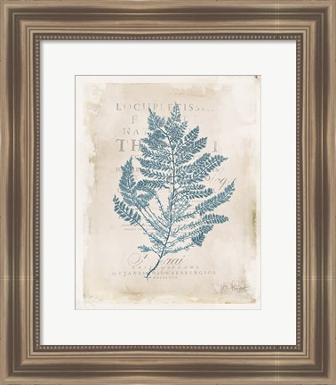 Framed Sea Garden III Print