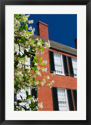 Framed Spring Pilgrimage, &#39;Rosalie&#39; house, 1820, Natchez, Mississippi Print