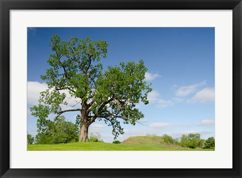 Framed Mississippi, Greenville Winterville Mounds Print