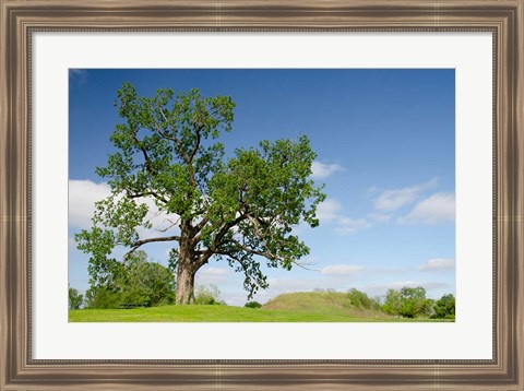 Framed Mississippi, Greenville Winterville Mounds Print