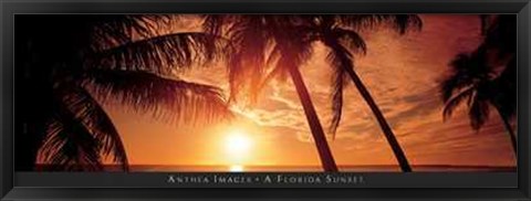 Framed Florida Sunset Print