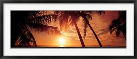 Framed Florida Sunset Print