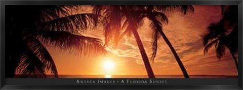 Framed Florida Sunset Print