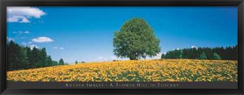 Framed Flower Hill in Tuscany Print