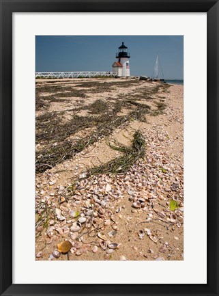 Framed Nantucket Shell in front of Brant Point lighthouse Print