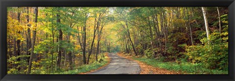 Framed Road passing through autumn forest, Golf Link Road, Colebrook, New Hampshire Print