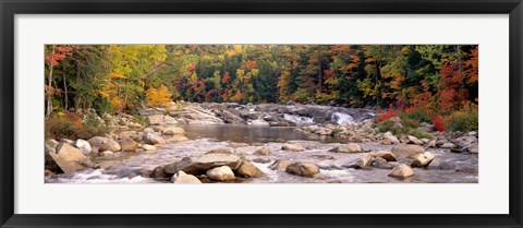 Framed New Hampshire, White Mountains National Forest, River flowing through the wilderness Print