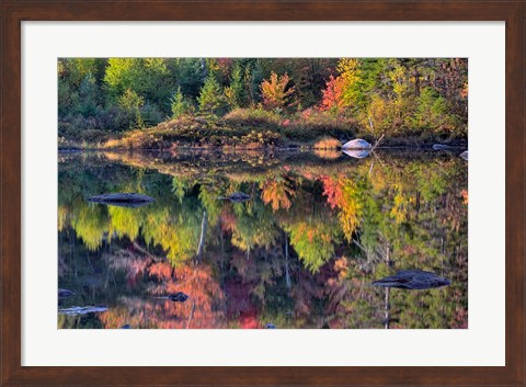 Framed Shoreline reflection, Lily Pond, White Mountain National Forest, New Hampshire Print
