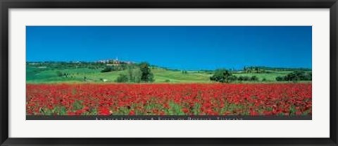 Framed Field of Poppies, Tuscany Print