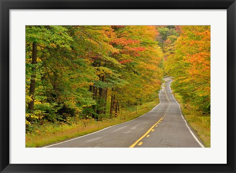 Framed Roadway through White Mountain National Forest, New Hampshire Print