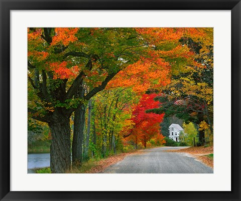 Framed New Hampshire, Andover Autumn color, England home Print