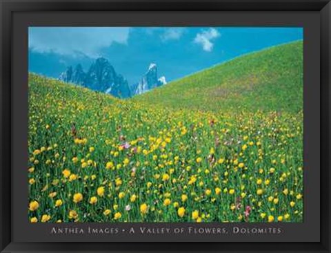 Framed Valley of Flowers, Dolomites Print