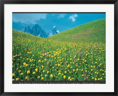 Framed Valley of Flowers, Dolomites Print