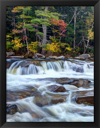 Framed Lower Swift River Falls, White Mountains, New Hampshire Print