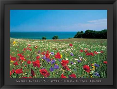 Framed Flower Field on the Sea, France Print