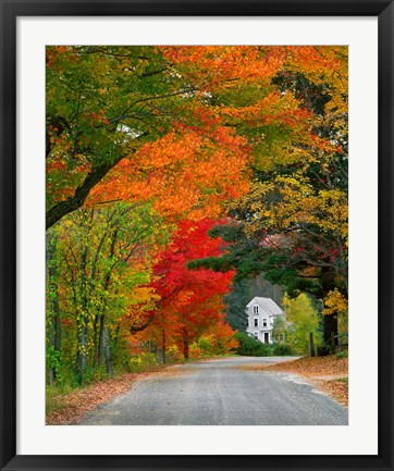 Framed Road lined in fall color, Andover, New England, New Hampshire Print