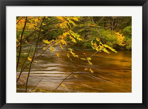 Framed New Hampshire, White Mountain National Forest River Print