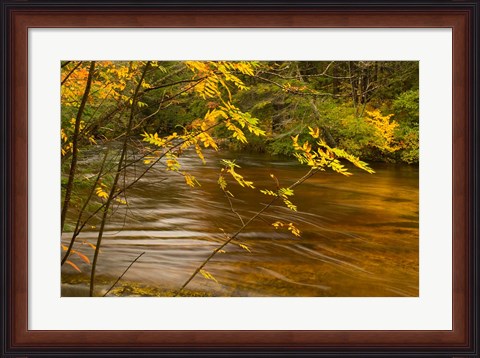 Framed New Hampshire, White Mountain National Forest River Print