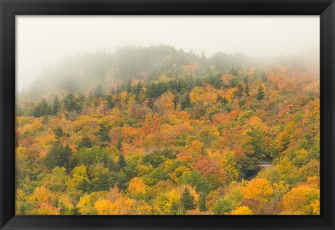 Framed New Hampshire, White Mountain National Forest, Autumn Print